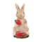 Mini Bunny with Strawberry by Ashland®